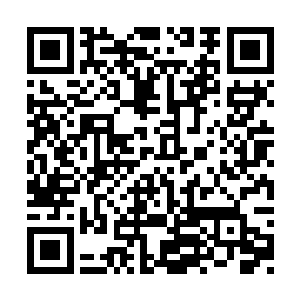 得……这些老爷子当这些稀世奇珍都是大白菜了二维码生成