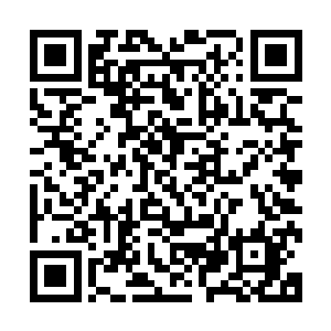 得不到父亲迪奈瑟二世对兄长博罗米尔那样的信任和慈爱有关二维码生成