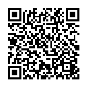 得了吩咐的维杰还是装着很大气的付钱买回来了二维码生成