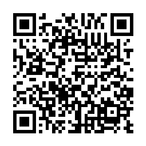 得亏夏侯家族为了避嫌事先就表明了不会帮他找关系作弊二维码生成