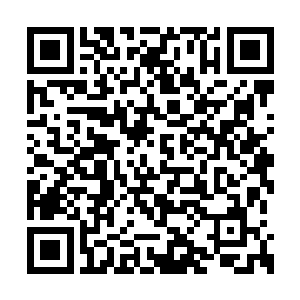 得到了一门剑舞类的不错功法和一枚乾元定神珠二维码生成