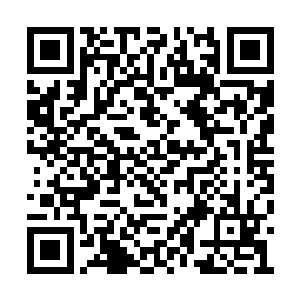 得到了伊丽莎白和安杰丽卡两位美人好感度过100二维码生成