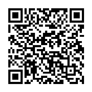 得到了反对李资谦的部分文官势力及地方势力的支持二维码生成