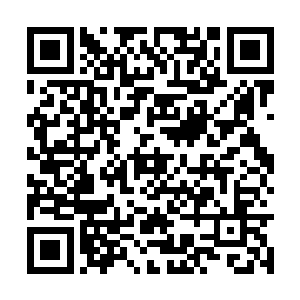 得到了四大学宫和其他小学宫副掌座掌座们的认可二维码生成