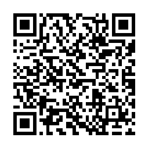 得到了类似红外感知或者灵魂感知之类的天赋能力二维码生成