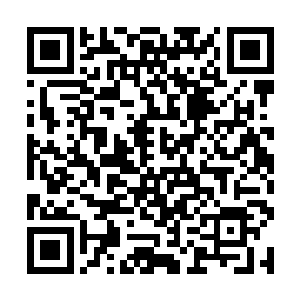 得到了陈小练的赏赐――两队人共同分享了一支羊腿二维码生成