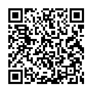 得到原初之翼加持的原力弹有一发似是射向空处二维码生成