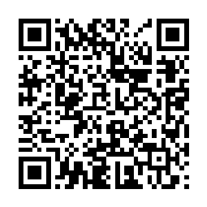 得到回答说还要在这休息大半个时辰才会继续赶路二维码生成