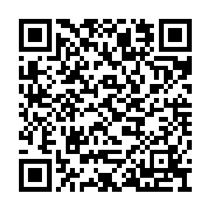 得到消息的那些追随妩衣的武者们也都跑了出来二维码生成