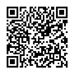 得到的好处王岚的力量飙升到土地神第九层的境界二维码生成