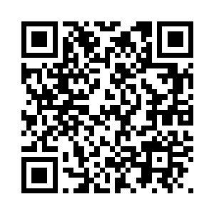 得到过高人系统性的知识传授和指导二维码生成