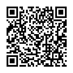 得到重型弹头威力加成的原力弹把这只狼人轰飞出去二维码生成