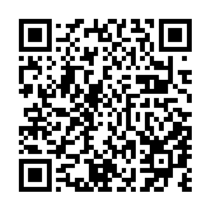 得在情况允许范围内尽己所能地……热情招待一下老朋友了二维码生成