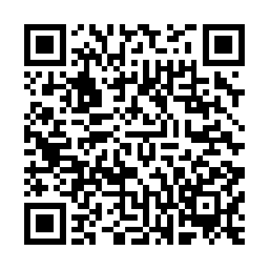 得意洋洋的带着比出了时多了几十倍的美妞们返回蓝星群岛中二维码生成