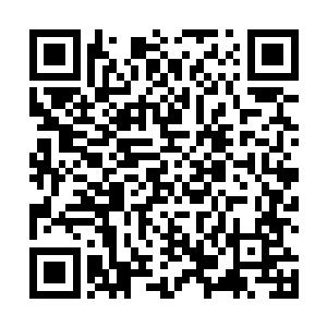 得所有人一起奋斗……仙门各有专精的独立性传统很好二维码生成