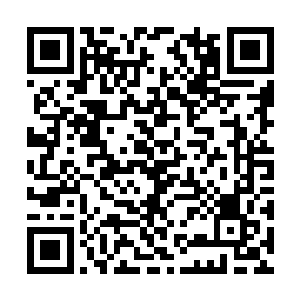 得杀死二十头一品虚兽才能够得到二十道一品虚气二维码生成