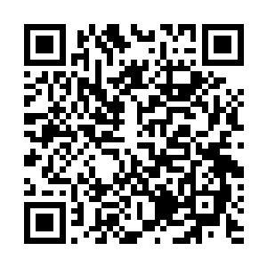 得益于对整个巴掌大岛屿的卫星地图和偷拍视频详细研究二维码生成