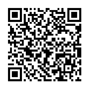 得知了蚊血煞作战方略的皇神色有些冰冷地质问道二维码生成