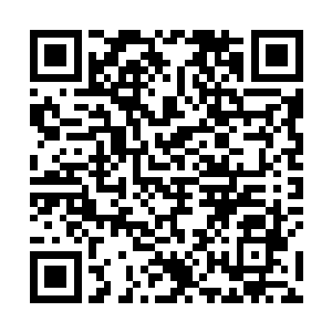 得知他是误食丧尸结晶导致身体出现问题成熟却长不大二维码生成