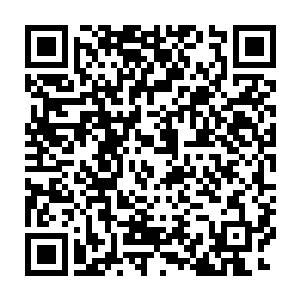 得知贵宾室来人赫然是真武杀榜之上排名第三十六的暴雷狂魔沈凡二维码生成