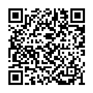 得等他们全都从那个虚假的世界里苏醒之后再说二维码生成