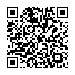 微堵在光笼微小破口处的光点听到了严默的祈愿二维码生成