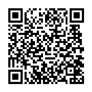 微微仰着小脑子眼睛里面充满希翼的望着金在珉看着二维码生成