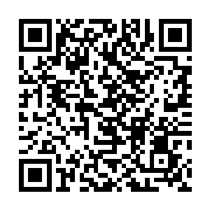 微微活动了一下因为长时间仰着头而变得有些僵硬的脖子二维码生成