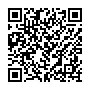 微微眯起了眼眸锁定着叶海凝的那张精致的面孔二维码生成