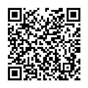 微微顿住的脚步在停顿了一秒后镇定的向电梯走去二维码生成