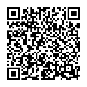 微笑着和蔼可亲的接过那些粉丝递过来的签名笔不停的画着自己的艺术签名二维码生成