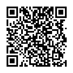 微笑着说出已经到场的每一个人的名字或者在学校时的外号二维码生成