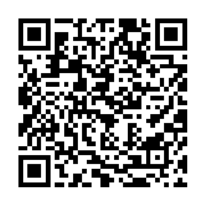 微黄色的戌土之气徐徐的顺着他的手阳明胃经进入了其体内二维码生成