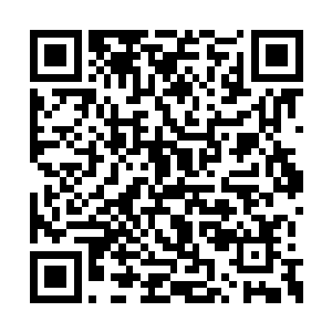 德康集团将负责将种兔运到华国的宁海市某港口二维码生成