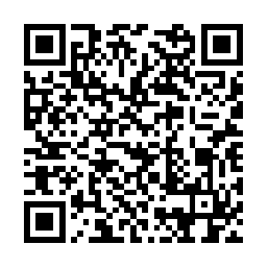 德阳真君和建木神君都各自返回了自家的飞舟之内二维码生成