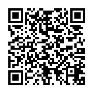 德隆都可以趁机溜走了……秦方在史蒂夫面前泄露了自己的身份二维码生成