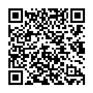 心中一下子就明白了琼楼杀了南疆这边的蛮族骑士二维码生成