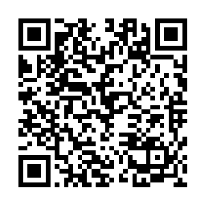 心中也是有些暗暗后悔找了杨开这么一个返虚一层境的过来二维码生成