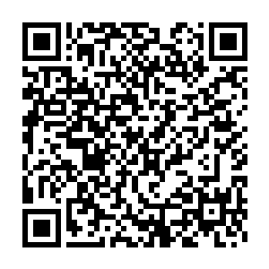 心中也有一个愿意为了她而宁愿手沾鲜血也要她活得幸福安康的人二维码生成