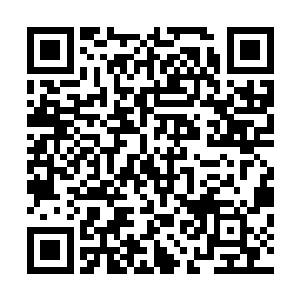 心中便认定这座塔就应该是人镇关下的这个上古遗迹的阵心二维码生成