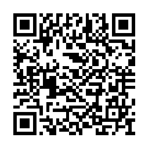 心中倒一动――这似乎也是个试验人品的机会呢二维码生成