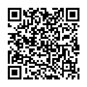 心中却在嘀咕怎么解释和墨兰传音入密对话的事二维码生成