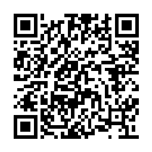 心中却暗暗发誓总有一天要找到自己的亲生父亲二维码生成