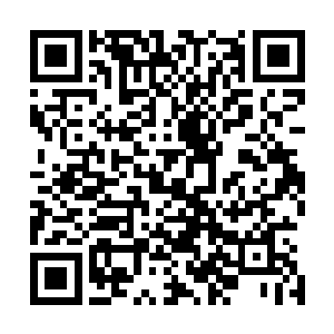 心中只想着萧航如果能转移注意力到王振科身上而忘了自己二维码生成