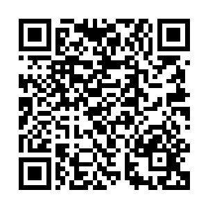 心中各种情绪翻涌……前世她甚至都没打开看一眼就交给王浩然二维码生成