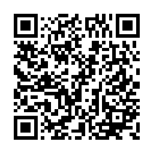 心中同样害怕那些刚刚退去的黑衣人会很快再来二维码生成