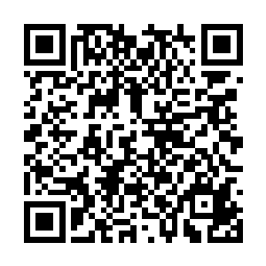 心中对杨开偷了龙卵的那一丝不满早就烟消云散了二维码生成