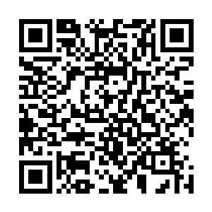 心中已然完全相信夭华眼下这么做的目的确实是为了逼问他二维码生成