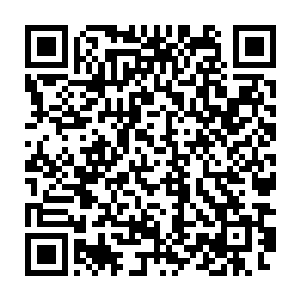 心中已经猜想到守护家族肯定是一个比光明圣师工会都要强大的大家族二维码生成