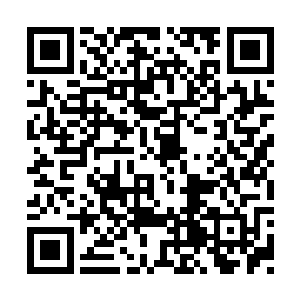 心中很大程度认为对方肯定用了改变容颜的药剂二维码生成